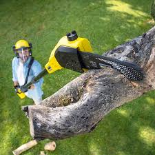 Best Lawn Pest Prevention  in Ridge Manor, FL